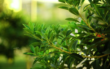 杭州空氣檢測公司最不推薦的除甲醛方法! 杭州空氣檢測公司最不推薦的除甲醛方法!