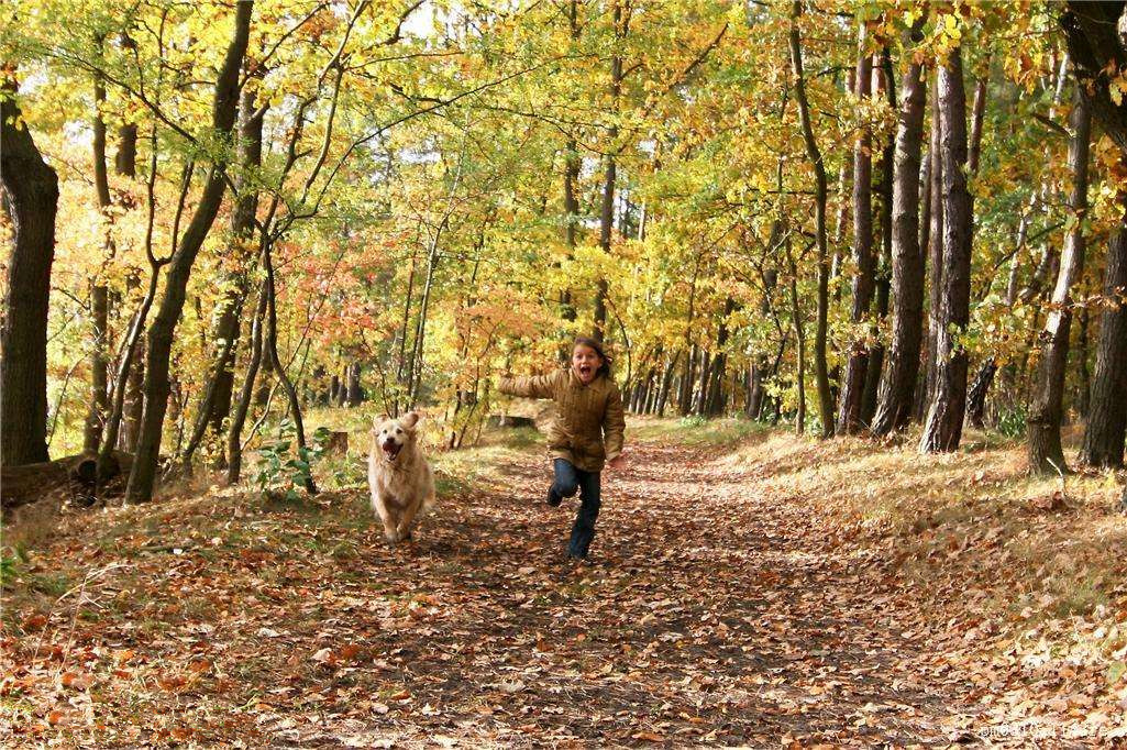 為什么秋季裝修異味這么重?甲醛超標怎么辦 為什么秋季裝修異味這么重?甲醛超標怎么辦