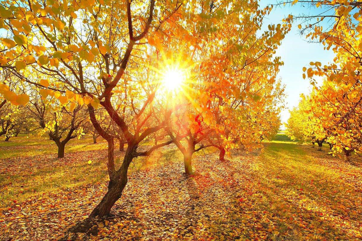 為什么秋季裝修異味這么重?甲醛超標怎么辦 為什么秋季裝修異味這么重?甲醛超標怎么辦