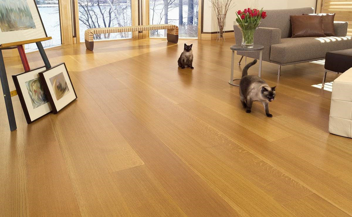 無法拆開、無法通風!地板甲醛超標怎么辦 無法拆開、無法通風!地板甲醛超標怎么辦