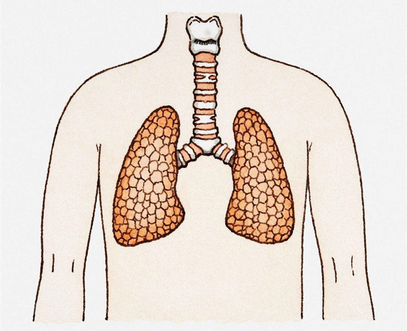 如何進行甲醛治理?沒有治理過的空氣就像虐待肺 如何進行甲醛治理?沒有治理過的空氣就像虐待肺