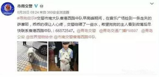 有問題找警察，薩摩耶派出所報案，不注意這件事，對狗狗致命，警察蜀黍卻幫不上忙！