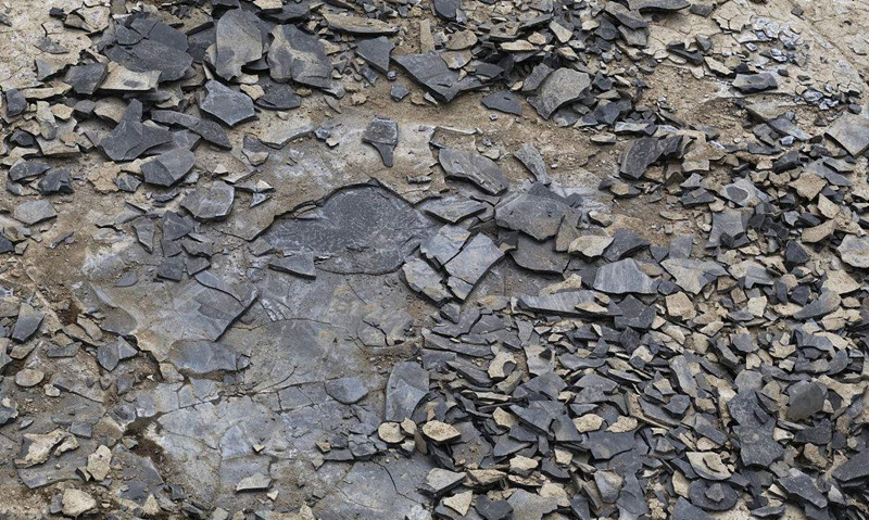 現代人生活節奏過快，卻導致環境空氣污染越來越嚴重