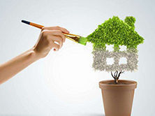 洋蔥可以除甲醛？民間流傳土方法可信嗎？