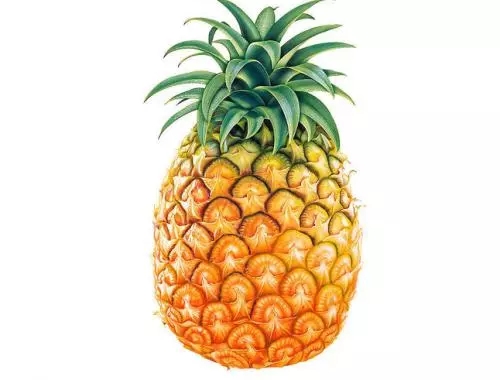 通風半年甲醛仍超標？甲醛治理要注意