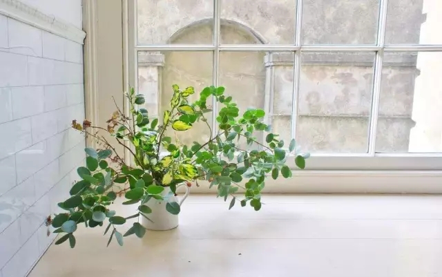 通風半年甲醛仍超標？甲醛治理要注意