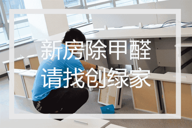 誰說***是多么寂寞，創綠家帶您感受下在500強企業工作是怎樣的體驗！