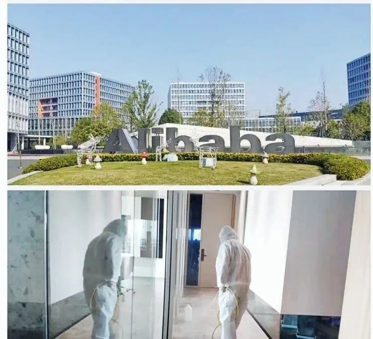 吾志所向，一往無前 | 創(chuàng)綠家2020年大事記