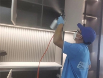 偏方真的能除甲醛嗎?