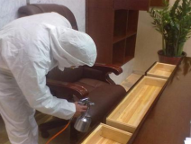 怎樣讓室內除甲醛有更好的效果?