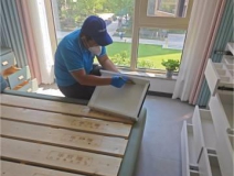 有效的除醛方法有哪些？