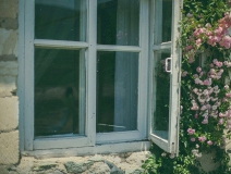 你認為網上最正確的除甲醛方法是那個?