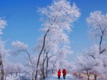 如何解決冬季室內(nèi)和車內(nèi)環(huán)境污染問題的問題呢？