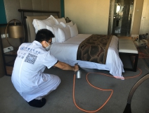 如何使用光觸媒除甲醛，以及它的原理是什么