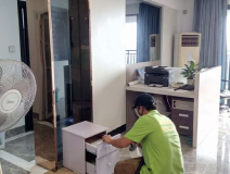 裝修后除甲醛依靠綠植可以嗎？