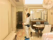 甲醛治理的優(yōu)勢體現(xiàn)在哪里?