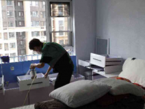 除甲醛公司哪個比較靠譜？