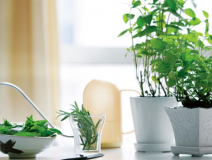 如何選擇一家靠譜的除甲醛公司？