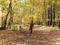 為什么秋季裝修異味這么重?甲醛超標怎么辦