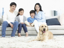 家里甲醛超標(biāo)怎么辦,受污染影響的人群有哪些