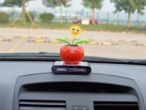 新車除醛,車內除甲醛什么辦法最好?