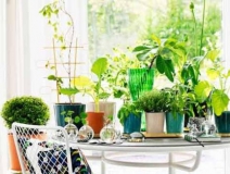 90%的家庭都甲醛超標(biāo)？所以要盡快找一家專業(yè)的除甲醛公司