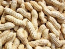 水煮花生含甲醛?實(shí)測(cè)多家燒烤店結(jié)果太可怕!