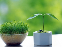 小護(hù)士中毒性肝病,都是新房甲醛等污染惹的禍