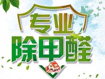 除甲醛公司的專業性表現在哪些方面?