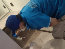 除甲醛需要做哪些功課?