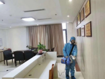 裝修后除甲醛哪個公司有優勢？