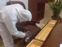 室內除甲醛有哪些專業的方法?