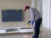 裝修后除甲醛的方法有哪些呢？