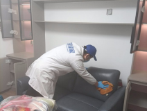 哪種方法除甲醛才是真正有效的呢？